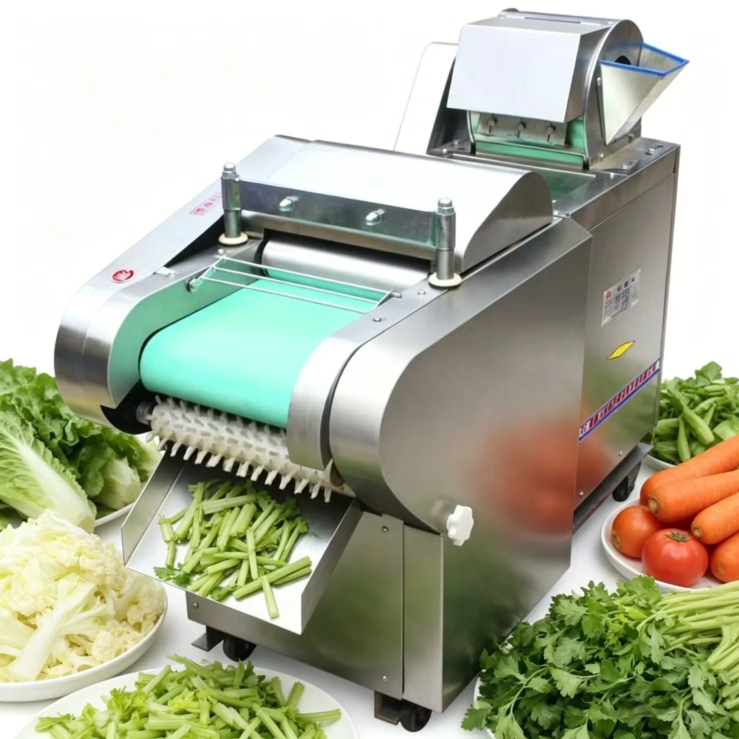 multifunctional vegetable cutter slicer chopper machine wsve