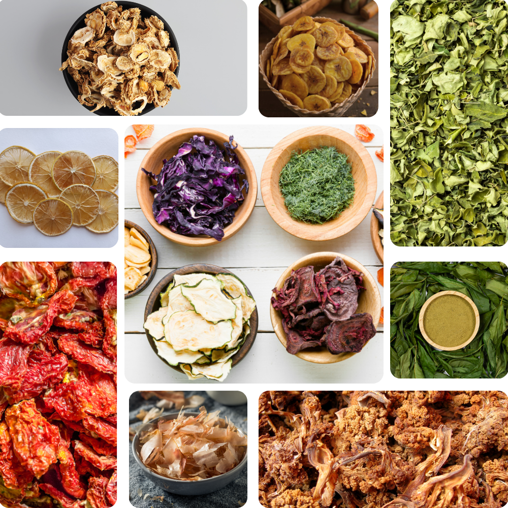 Ranthambhore Foods