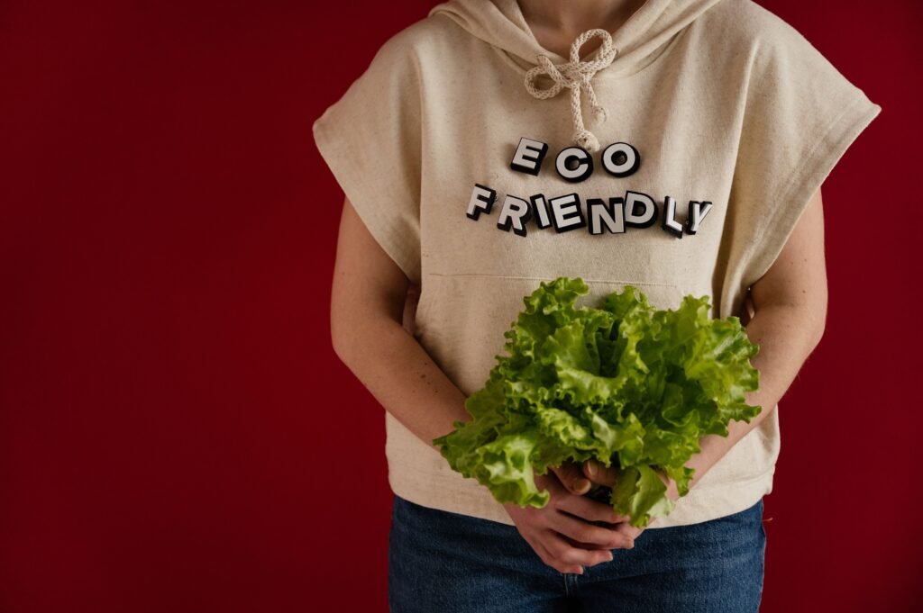 Eco-Friendly Food Packaging
