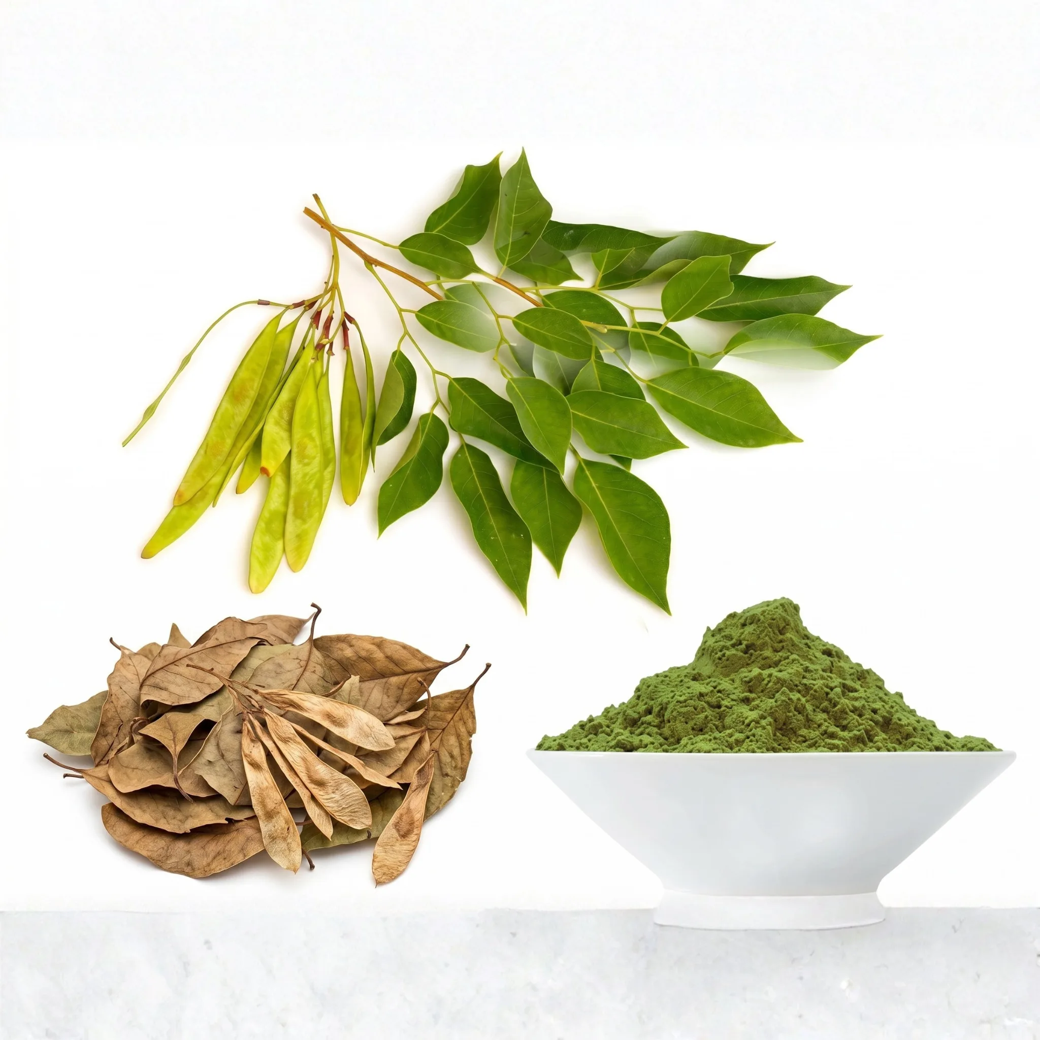 Solar dehydrated green rosewood shisham leaves for wholesale